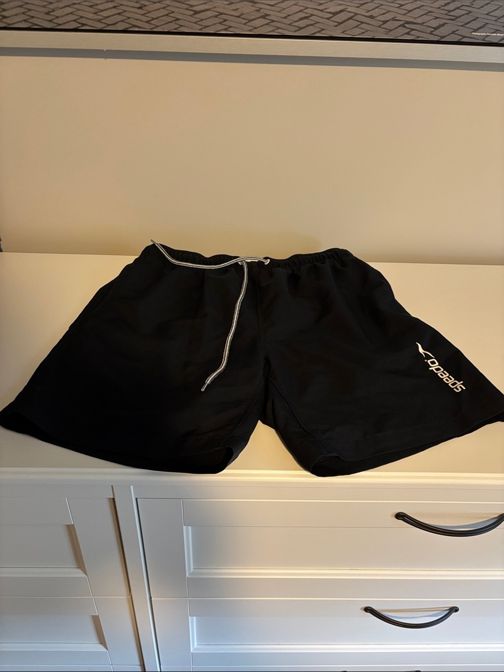 Speedo Black Men's Athletic Swim Shorts with White Drawstring
